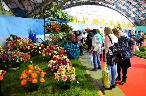 Unas 30 mil personas visitaron la Fiesta Nacional de la Flor durante el primer fin de semana de actividades