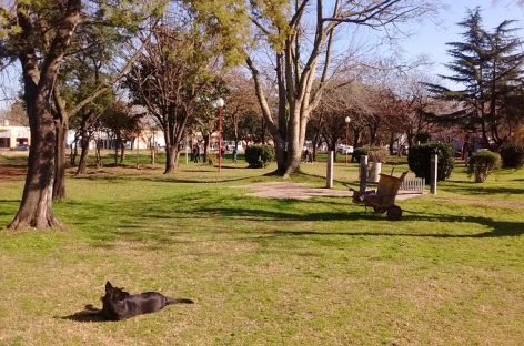 Qué opinás Matheu… el municipio usará 1.400 metros del espacio verde entre calle Canesi y las vías para la construcción de una Delegación, un Salón de Usos Múltiples y una Unidad de Diagnóstico por Imágenes