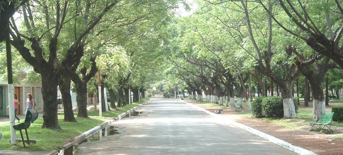 “Matheu querido: felices 121 años, por siempre en nuestros corazones”