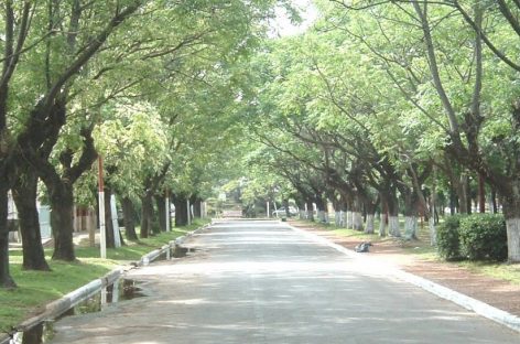 “Matheu querido: felices 121 años, por siempre en nuestros corazones”