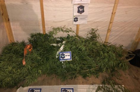 Por una denuncia recibida en el 0800 municipal, incautan 2,4 kilos de marihuana y detienen a un hombre en Belén de Escobar