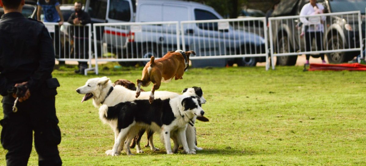 El Día del Animal se festeja en la Granja Educativa Don Benito