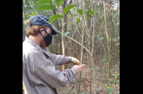 Escobar Sostenible: capacitaciones sobre cuidado del ambiente y relevamiento de recursos naturales en la Reserva de Maschwitz