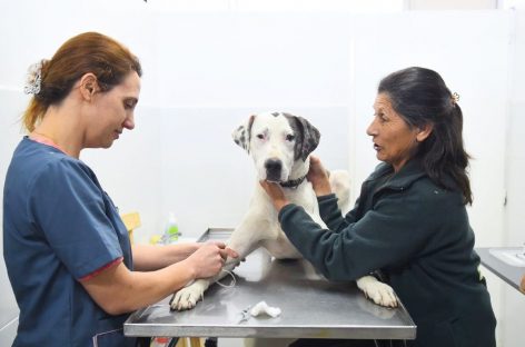 Hospital Municipal de Zoonosis Escobar: 5000 mascotas atendidas y 31 nuevas adopciones en lo que va del año