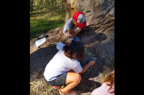 El Municipio organizó el primer encuentro de mini protectores ambientales en la Reserva Natural Educativa