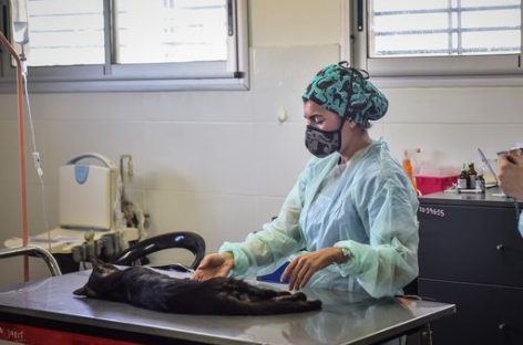 El Hospital Municipal de Zoonosis de Escobar es el elegido por la UBA para que sus estudiantes realicen las Prácticas Profesionales Supervisadas