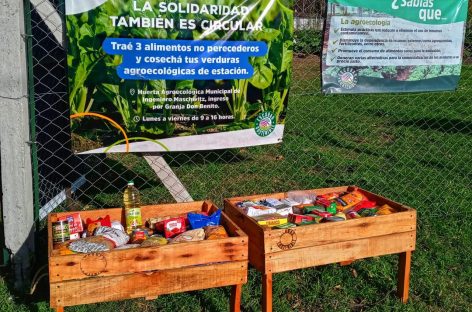 Vecinos del distrito pueden participar para fortalecer el programa Escobar Hambre Cero desde la huerta agroecológica