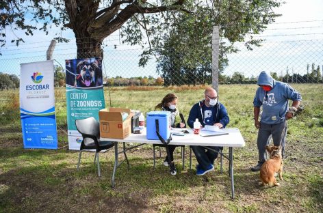 Esta semana comienza la campaña anual de vacunación antirrábica para mascotas