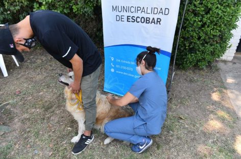 Más de 1300 mascotas ya recibieron la vacuna antirrábica durante la primera semana de la campaña anual