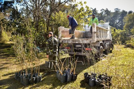 Mes del Árbol: la Municipalidad impulsa nuevas jornadas para seguir plantando árboles en todo el distrito