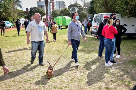 Escomascoteros: Se realizó el festival de concientización sobre adopción y tenencia responsable de mascotas