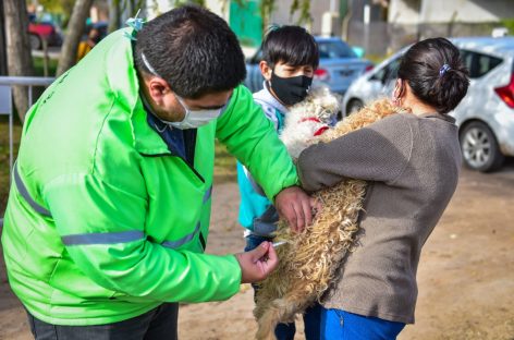 Zoonosis Escobar: continúa en Matheu la campaña de vacunación antirrábica para mascotas