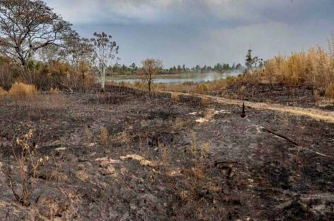 Incendios en Corrientes: se replicará un programa de Escobar Sostenible para la restauración de los Esteros del Iberá