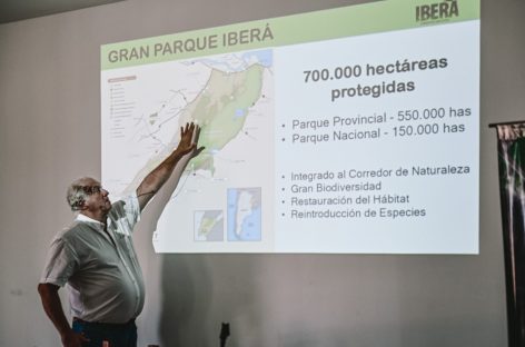 Sujarchuk y un equipo interdisciplinario municipal viajaron a Corrientes para colaborar con el plan de restauración ambiental