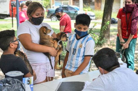 Se inicia en Escobar la campaña anual de vacunación antirrábica para mascotas