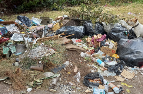 Quejas de vecinos en Bo. lambertuchi por basura acumulada en la vía pública