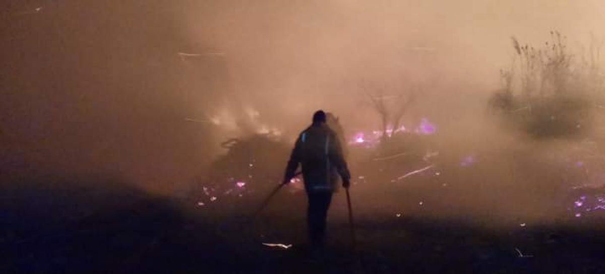 El municipio de Escobar destacó el trabajo de bomberos del distrito por la extinción de incendios en islas del río Luján