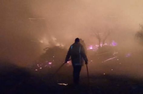 El municipio de Escobar destacó el trabajo de bomberos del distrito por la extinción de incendios en islas del río Luján