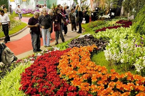 La Fiesta Nacional de la Flor, el desfile de carrozas y los festejos por el aniversario del distrito son algunas de las propuestas culturales del fin de semana en Escobar