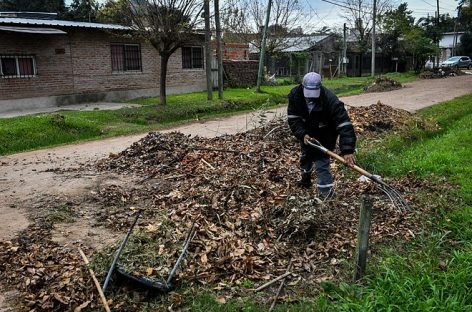 Continúa la campaña de recolección de residuos de poda con vecinos y vecinas del distrito