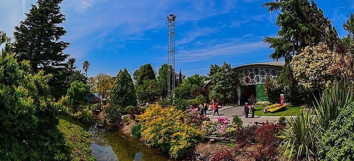 Fiesta Nacional de la Flor: continúan las obras para la puesta en valor del predio