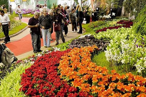 Fiesta Nacional de la Flor: se abrirá una nueva categoría de representantes culturales