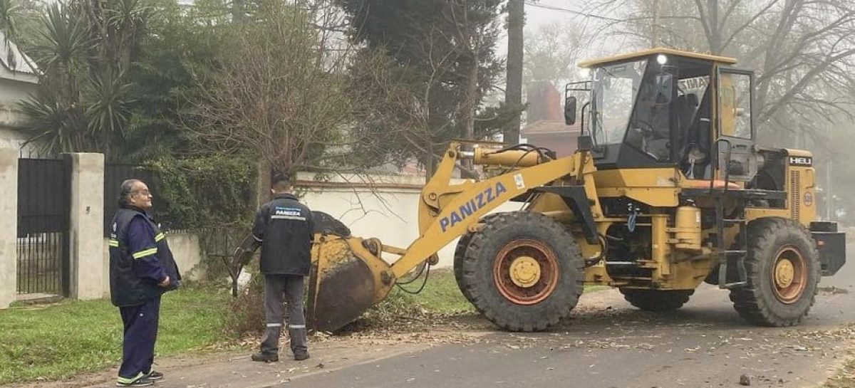 Cronograma del sistema municipal de recolección de ramas para esta primera semana de julio