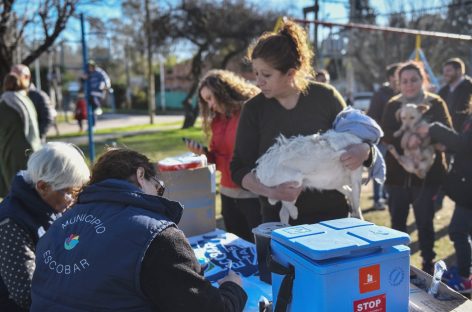 Escobar distrito: cronograma de jornadas gratuitas de castración y vacunación