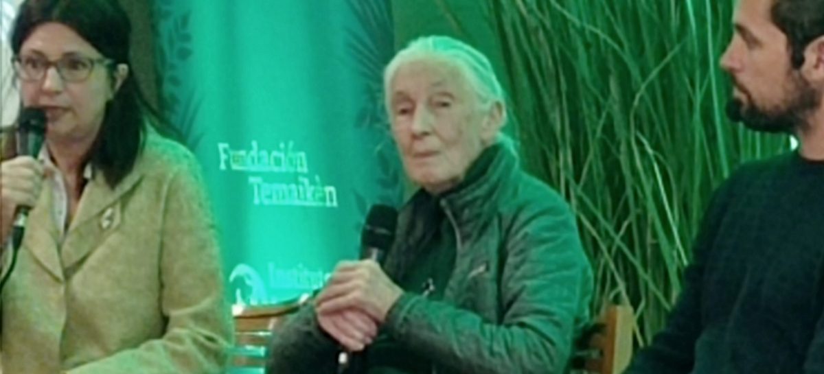 La etóloga inglesa de 90 años Jane Goodall brindó una charla sobre medio ambiente en Temaikén