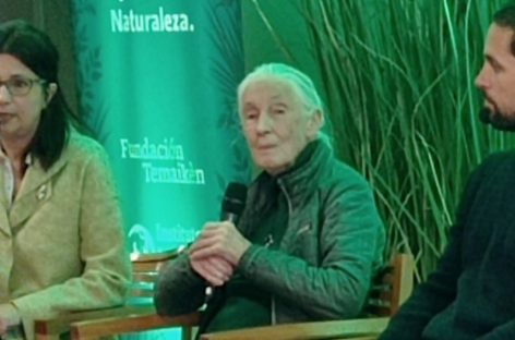 La etóloga inglesa de 90 años Jane Goodall brindó una charla sobre medio ambiente en Temaikén