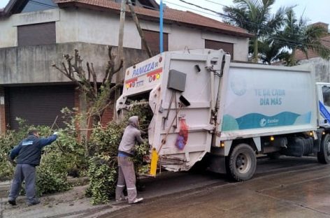 Cronograma del sistema municipal de recolección de ramas para esta semana