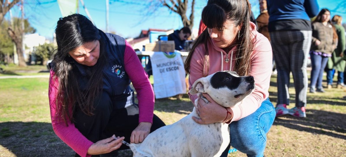 Nuevo cronograma de jornadas gratuitas de castración y vacunación en el Hospital Municipal de Zoonosis