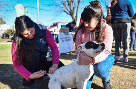 Nuevo cronograma de jornadas gratuitas de castración y vacunación en el Hospital Municipal de Zoonosis