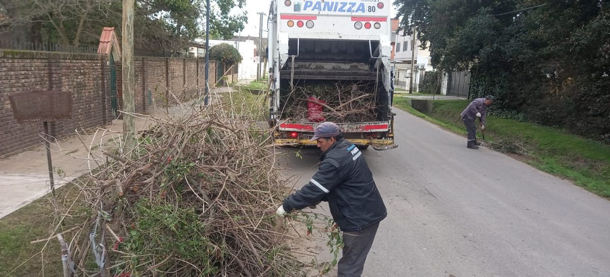 Cronograma del sistema municipal de recolección de ramas para esta semana