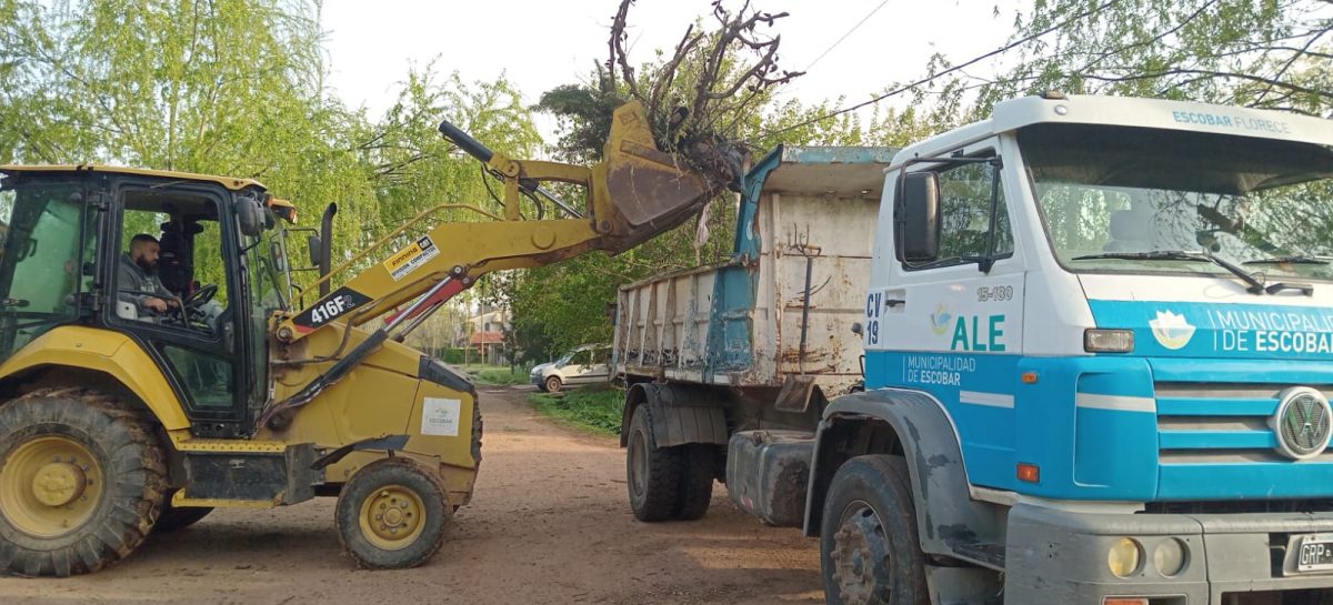 Cronograma del sistema municipal de recolección de ramas para esta semana