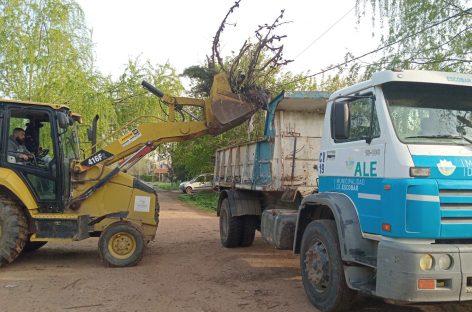 Cronograma del sistema municipal de recolección de ramas para esta semana