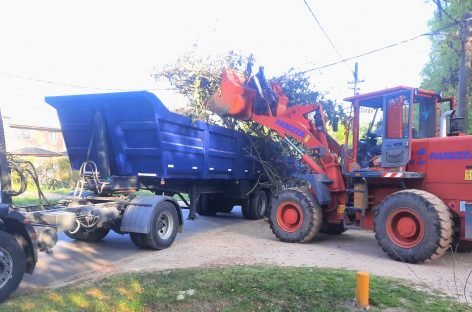 Cronograma del sistema municipal de recolección de ramas del lunes 21 al sábado 26 de octubre