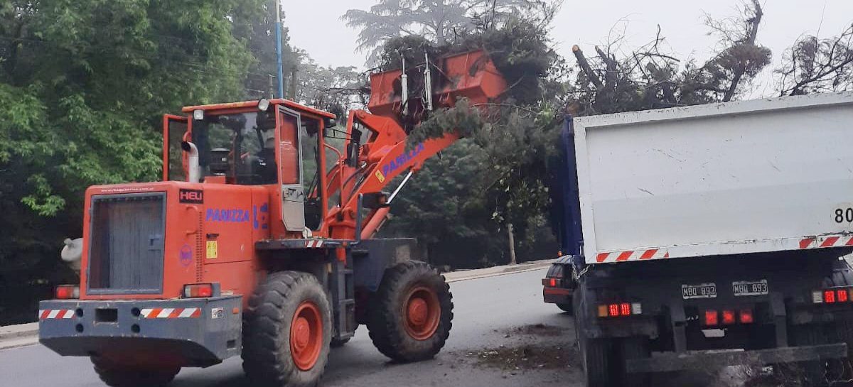 Cronograma del sistema municipal de recolección de ramas del 28/10 al 2/11