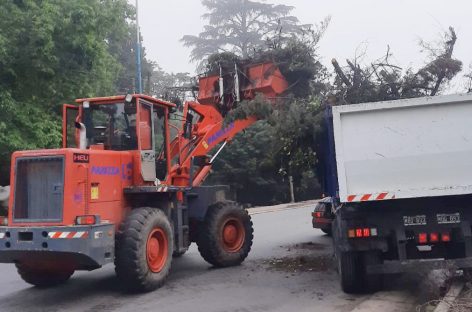 Cronograma del sistema municipal de recolección de ramas del 28/10 al 2/11