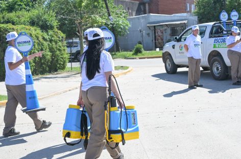 Dengue: la Municipalidad profundiza la campaña de prevención con un innovador biolarvicida natural