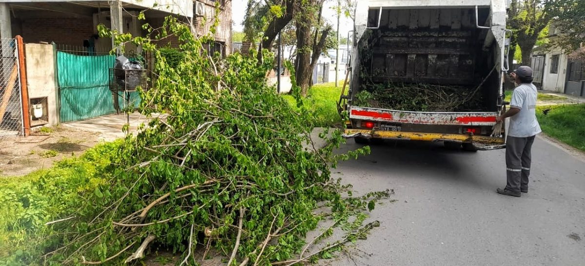 Cronograma del sistema municipal de recolección de ramas del lunes 4 al sábado 9 de noviembre