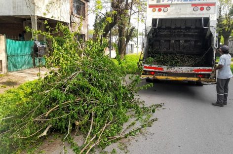 Cronograma del sistema municipal de recolección de ramas del lunes 4 al sábado 9 de noviembre