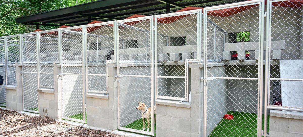 Abrió sus puertas el primer Centro de Adopción de Mascotas en Ingeniero Maschwitz