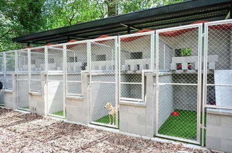 Abrió sus puertas el primer Centro de Adopción de Mascotas en Ingeniero Maschwitz