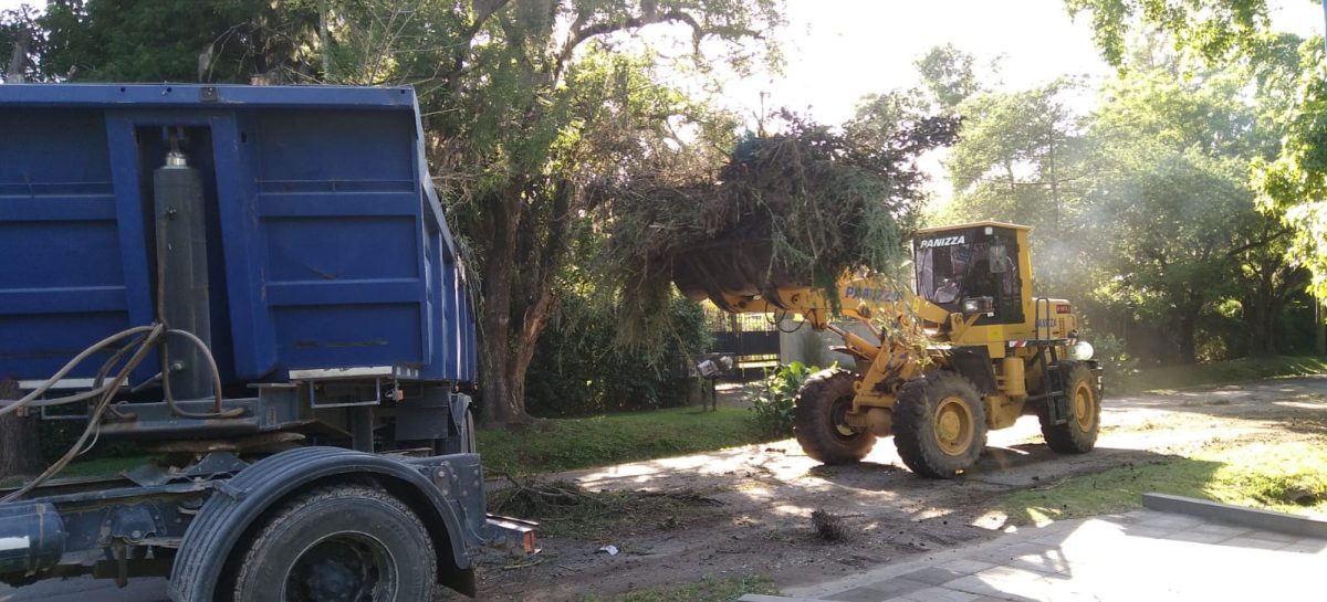 Cronograma del sistema municipal de recolección de ramas del lunes 18 al sábado 23 de noviembre