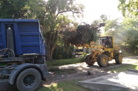 Cronograma del sistema municipal de recolección de ramas del lunes 18 al sábado 23 de noviembre