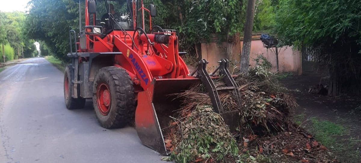 Cronograma del sistema municipal de recolección de ramas para esta semana