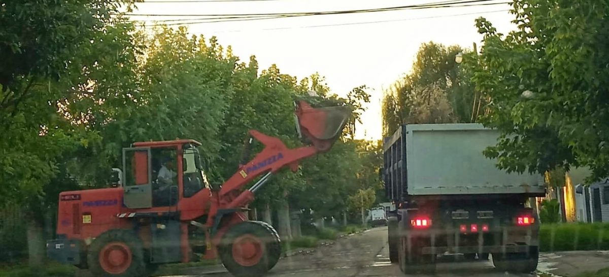 Cronograma del sistema municipal de recolección de ramas para esta semana