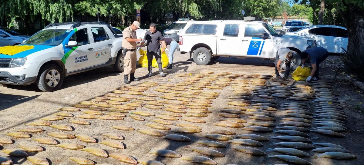 La Municipalidad decomisó 1.200 kilos de pescado que ingresaban a Escobar de manera clandestina